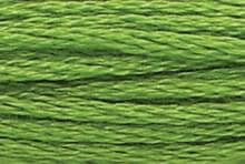 Medium Parrot Green: 00256