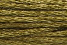 Medium Golden Olive: 00281