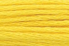 Yellow Plum: 00290