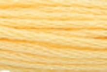 Medium Light Autumn Gold: 00301