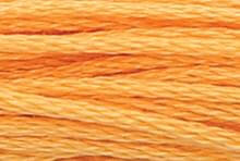 Medium Apricot: 00313