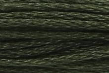 Black Avocado Green: 00862