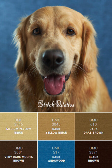 Gold Thread Code Solid Gold - Embroidery Color Palette (With Thread Codes)