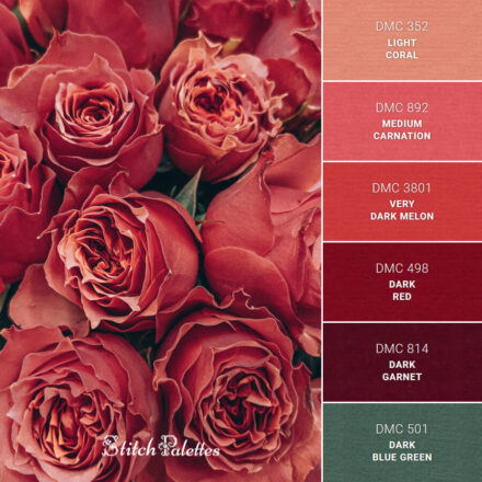 Rose Red Color