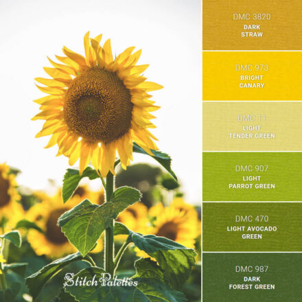 Yellow Rustle - Embroidery Color Palette (With Thread Codes)