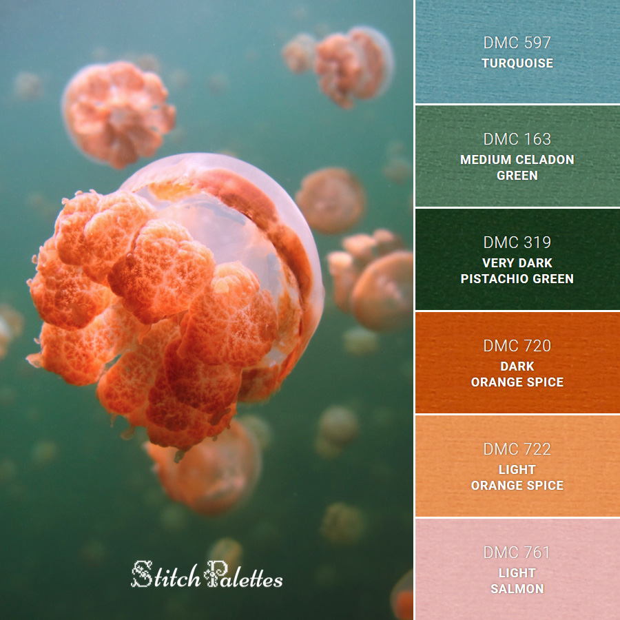 Jellyfish Lake