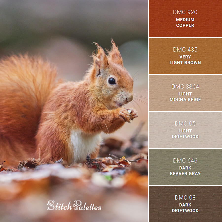 Squirrel Scavenger