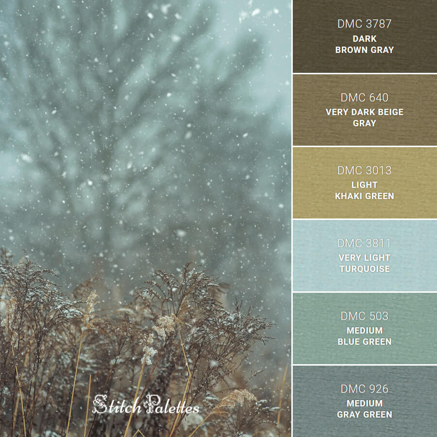 Snowfall In January