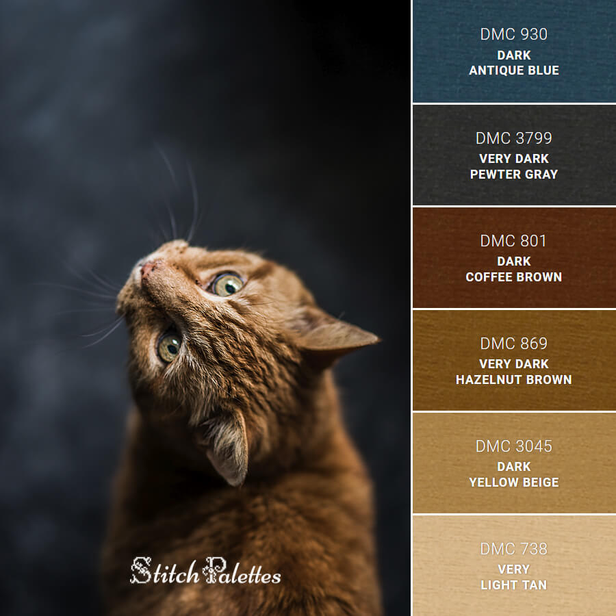 Gentle Ginger