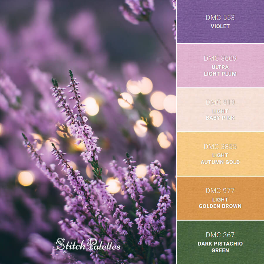 Lavenders In The Evening