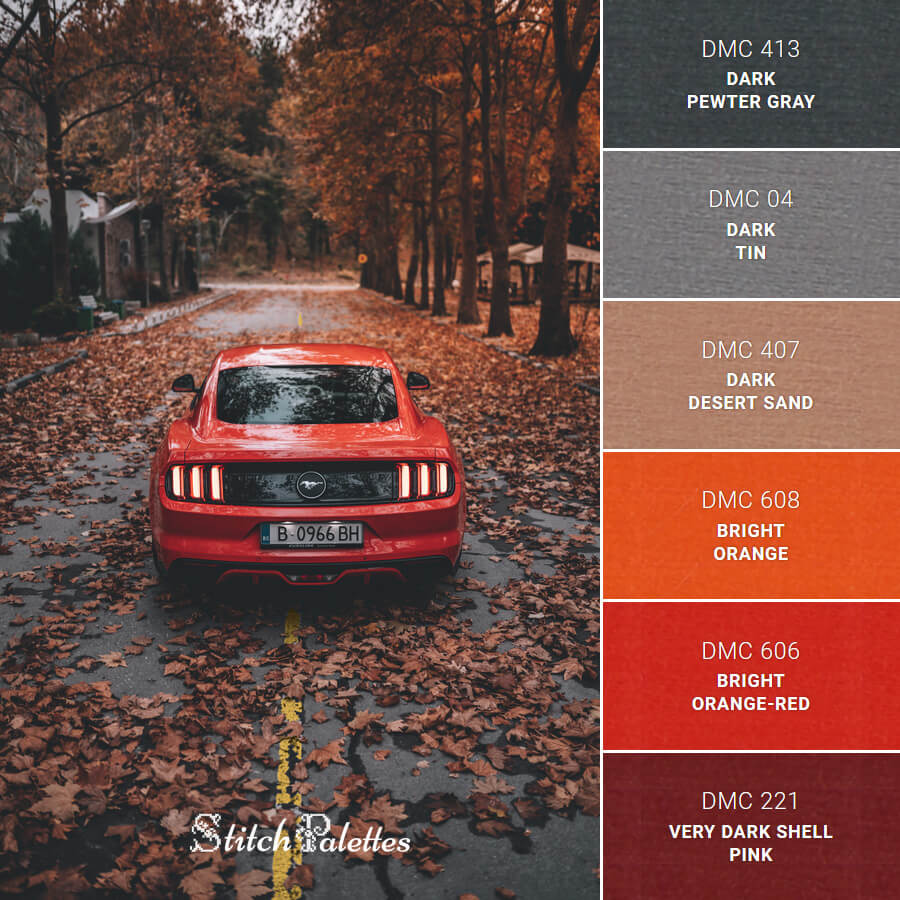 Driving Into Autumn