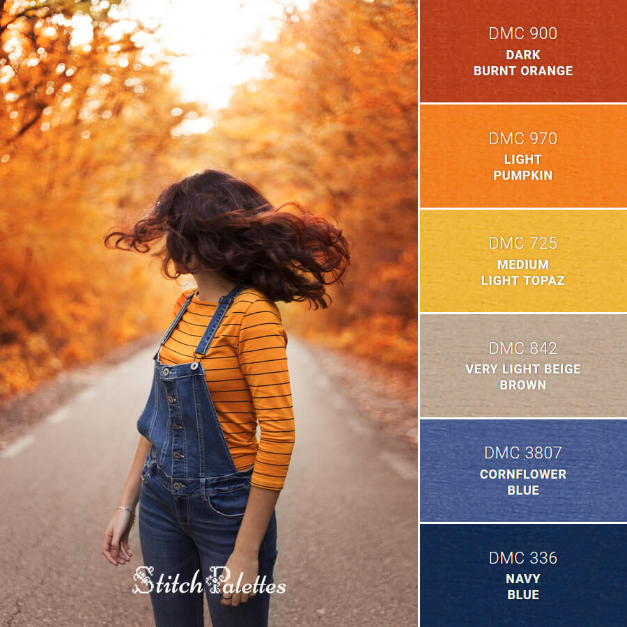 Looking Back At Fall