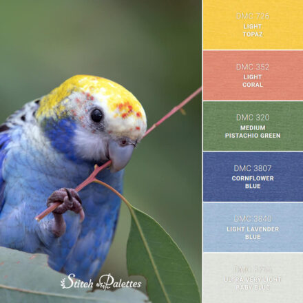 Blue And Yellow Phoenix - Embroidery Color Palette (With Thread Codes)