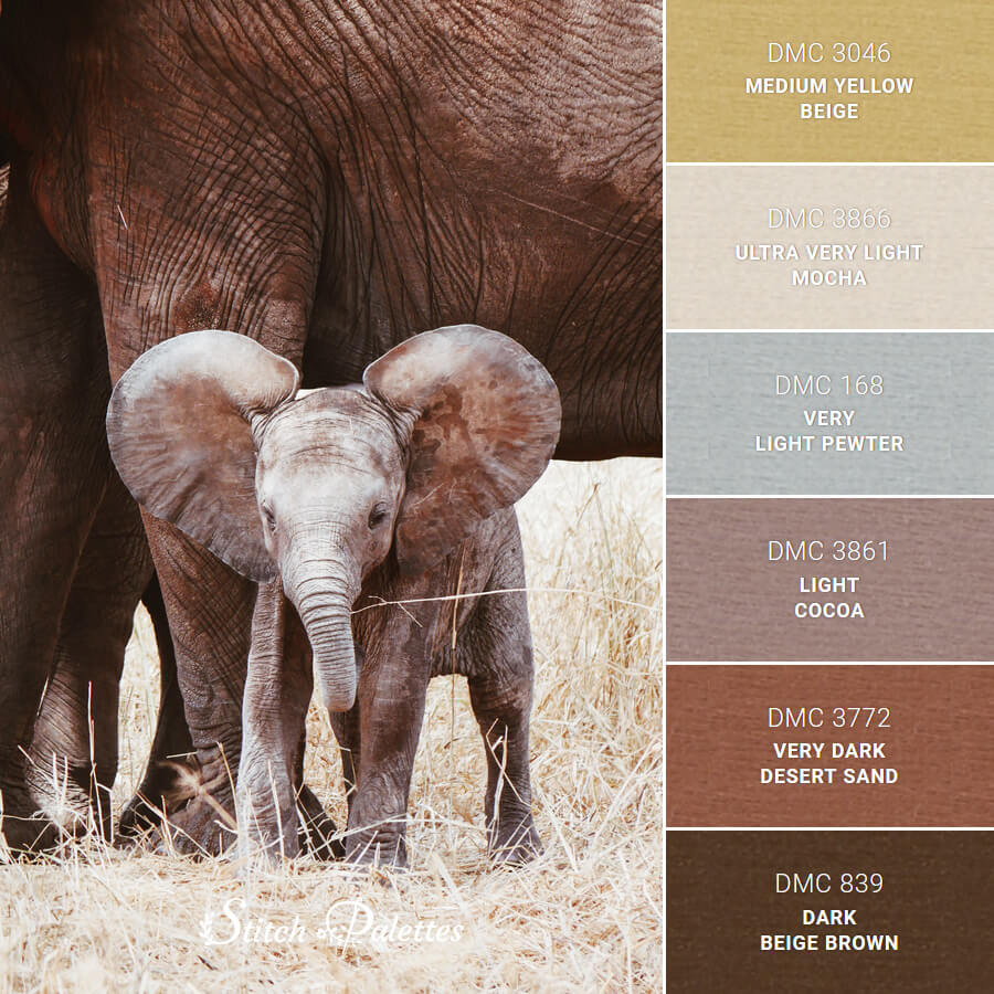 Baby Elephant - Embroidery Color Palette (With Thread Codes)