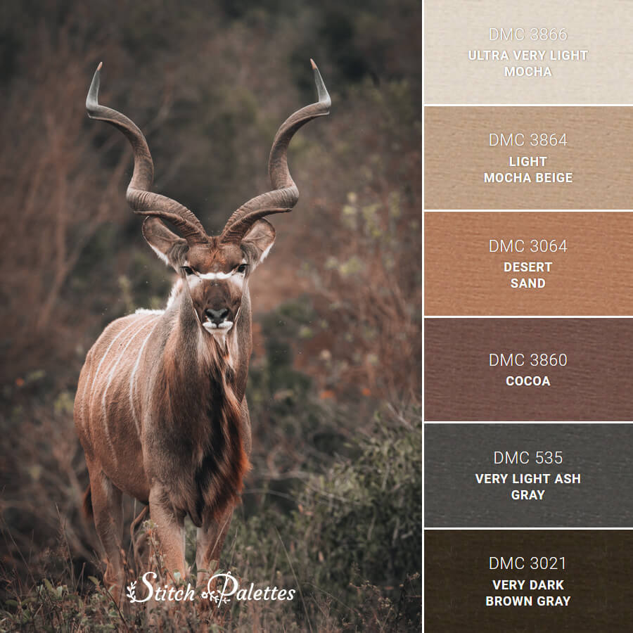 South African Kudu - Embroidery Color Palette (With Thread