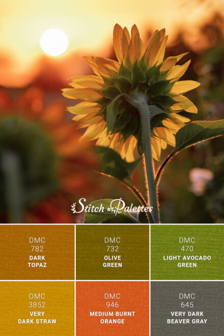 Towards The Sun - Embroidery Color Palette (With Thread Codes)