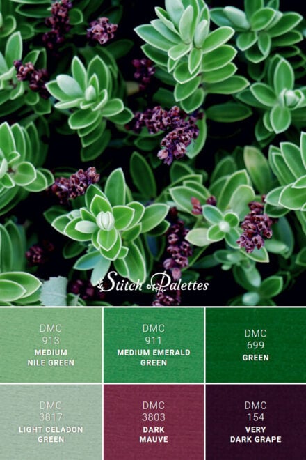 Snapshot Of Green - Embroidery Color Palette (With Thread Codes)