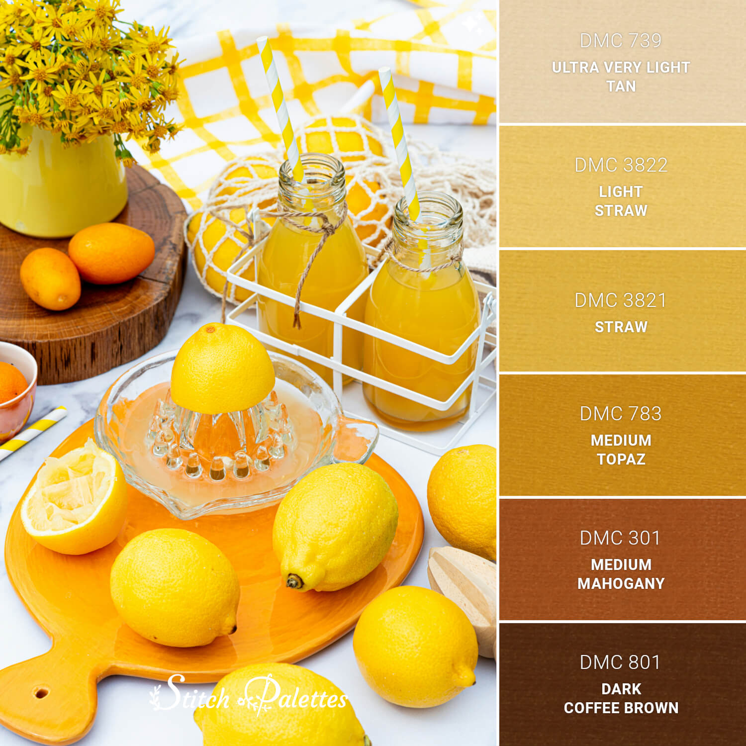 Life With Lemonade - Embroidery Color Palette (With Thread Codes)