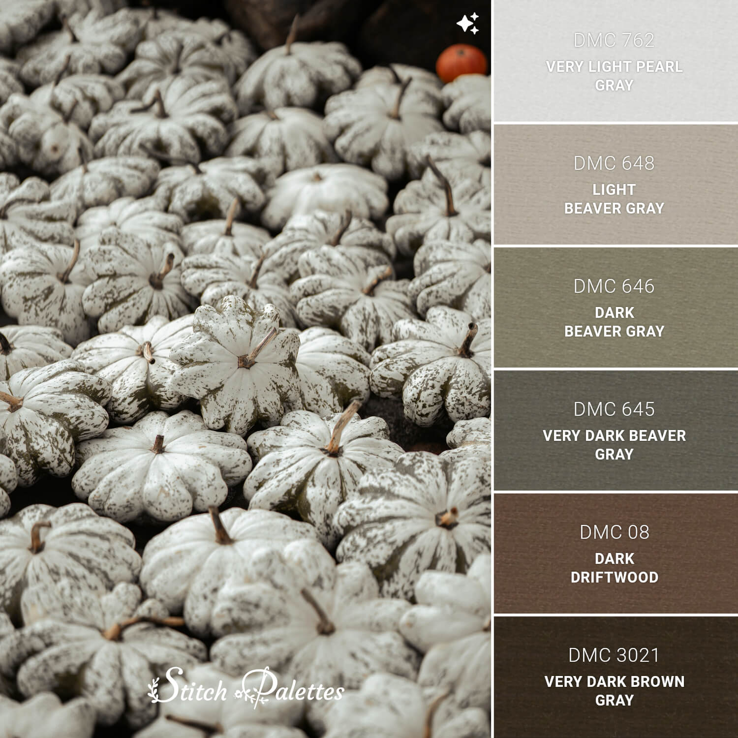 Stitch Palette SPA1721: Frosted Pumpkins