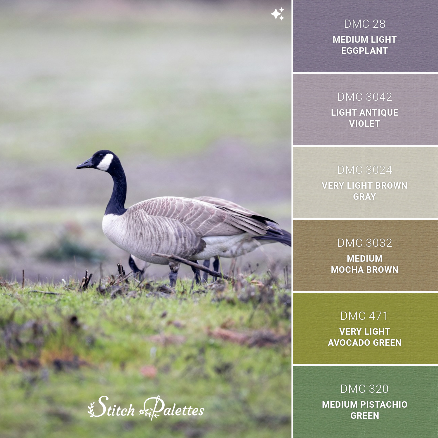 Purple In The Park - Embroidery Color Palette (With Thread Codes)