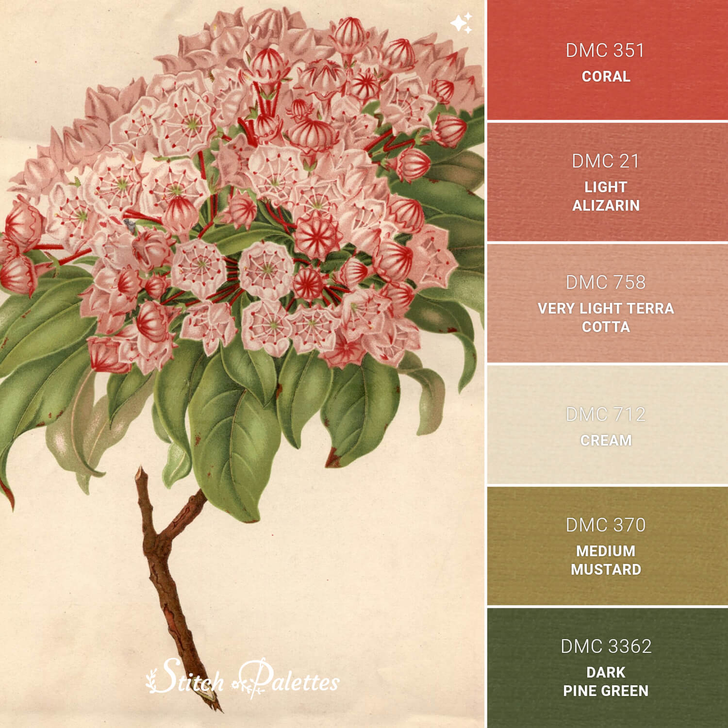 Kalmia Latifolia - Embroidery Color Palette (With Thread Codes)