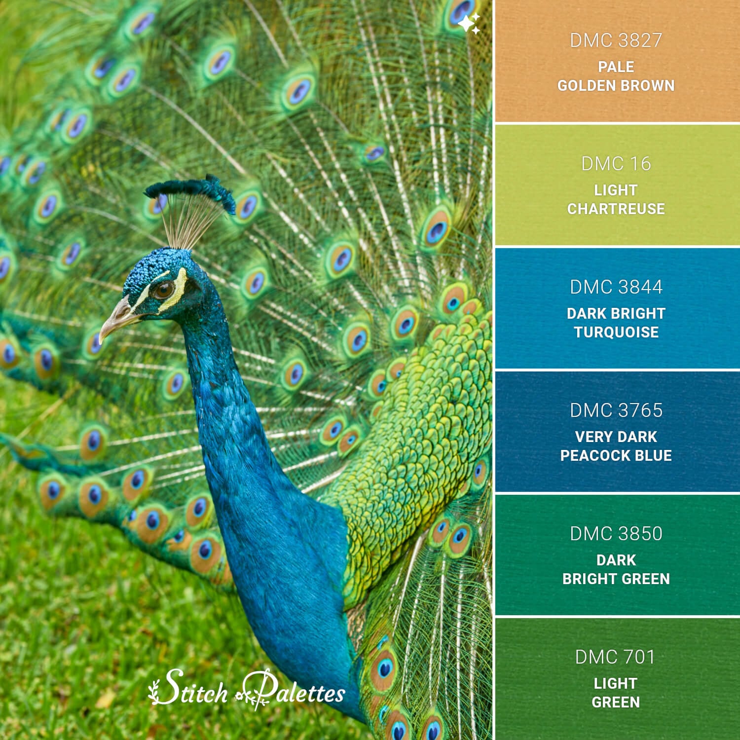 Stitch Palette SPA1827: Peacock Parade