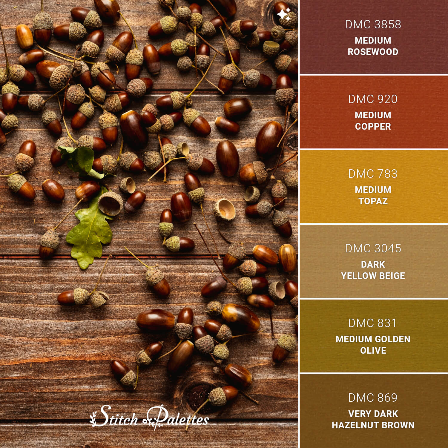 Acorn Anarchy - Embroidery Color Palette (With Thread Codes)