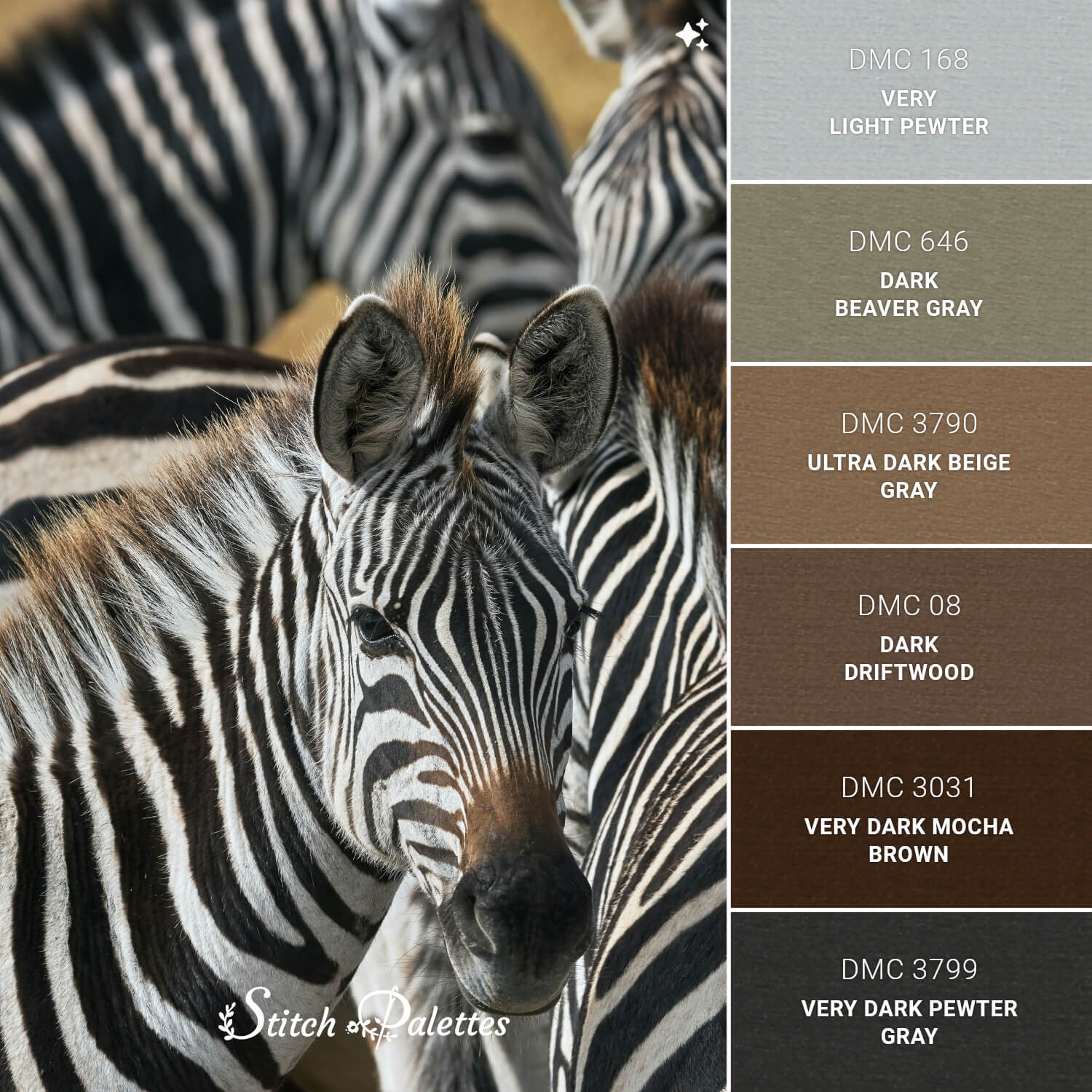 Zoned Out Zebra - Embroidery Color Palette (With Thread Codes)